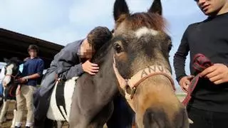 Castellón impulsa la mejor terapia para los niños con autismo: los caballos