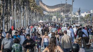 Cada nit en un hotel de tres estrelles de sol i platja català rep un ajut implícit de sis euros: el 80% beneficia turistes  estrangers