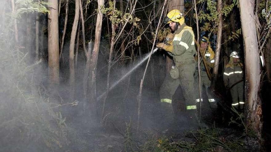 Sofocan el incendio en Castro Loureiro. // Bernabé/Noelia Porta