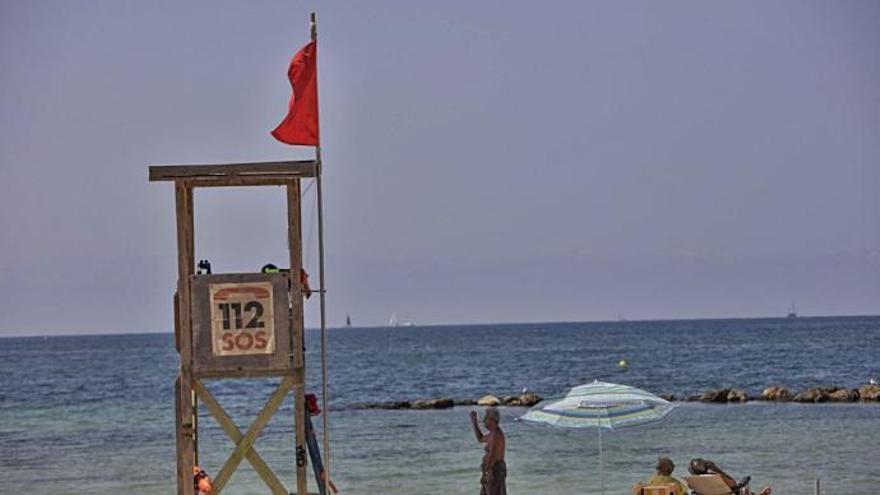 Das Stinkewasser vor Mallorca ist ein langfristiges Problem