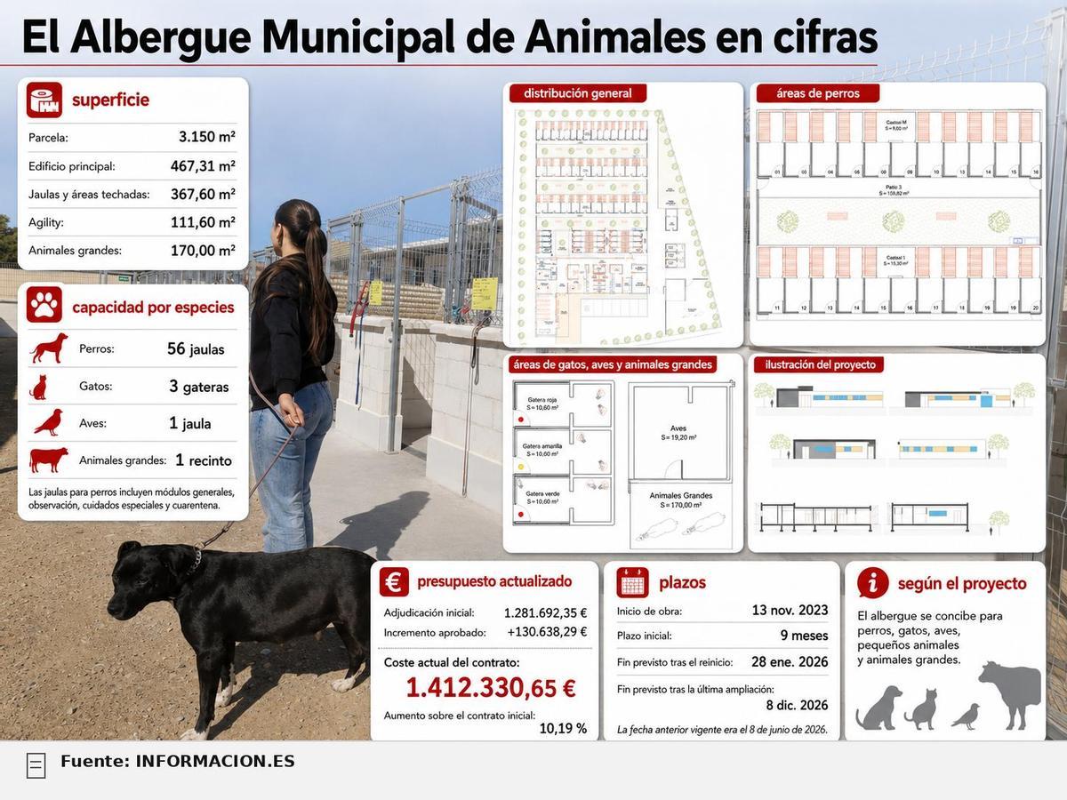 El Albergue Municipal de Animales en cifras