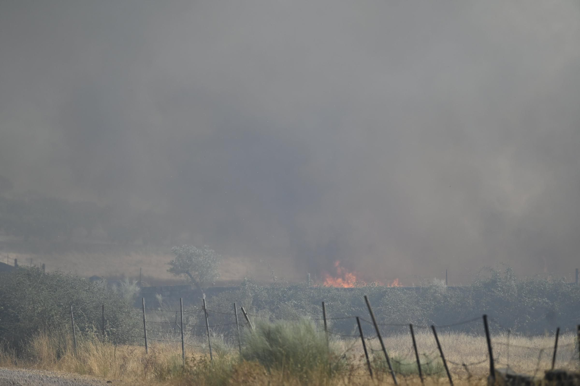 Así se está desarrollando el incendio de nivel 1 entre Arroyomolinos y Alcuéscar