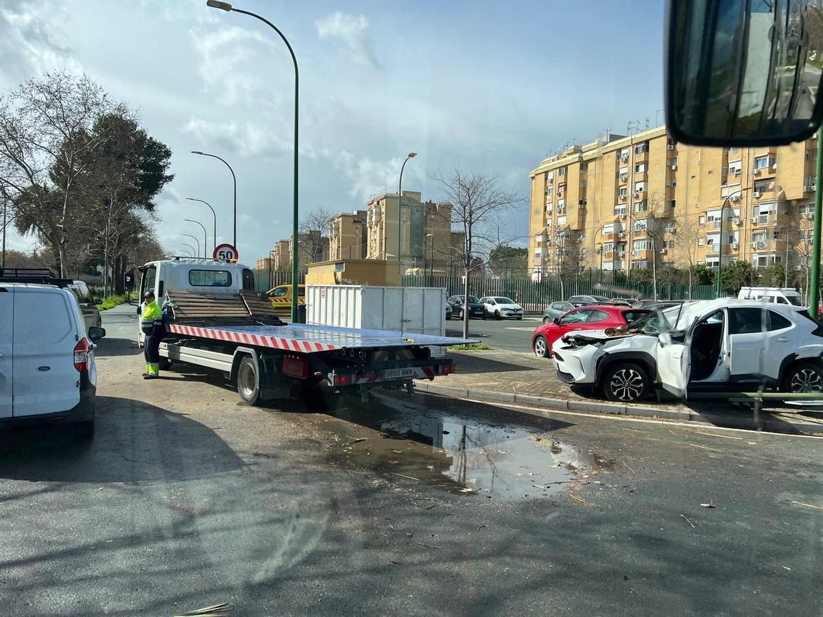 Imagen del coche y los restos de la palmera.