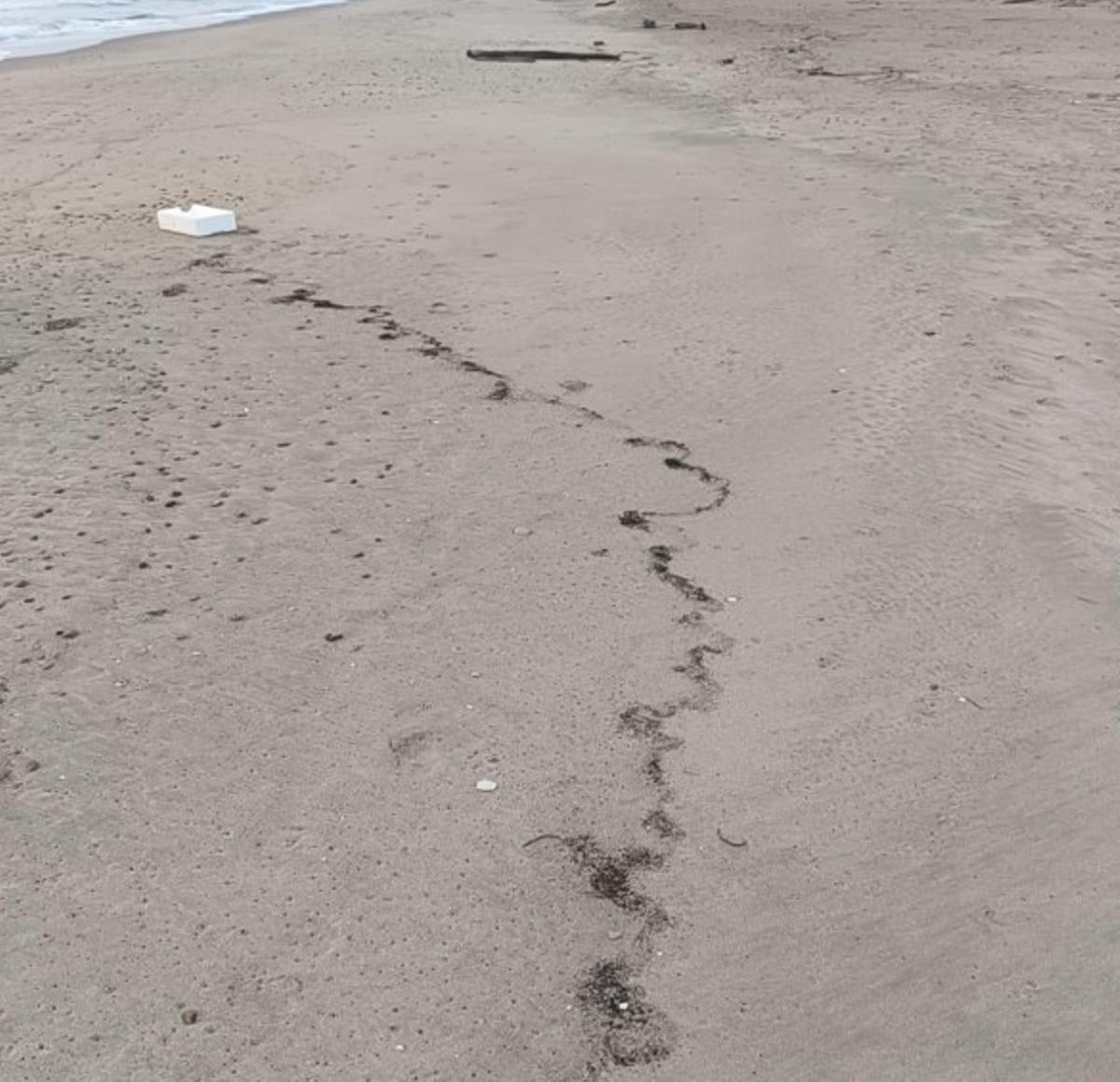Restos de cenizas en las playas de València