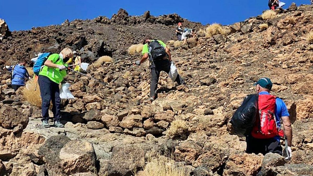 A human chain, in the midst of cleaning the path that leads to the top of Teide a few days ago.