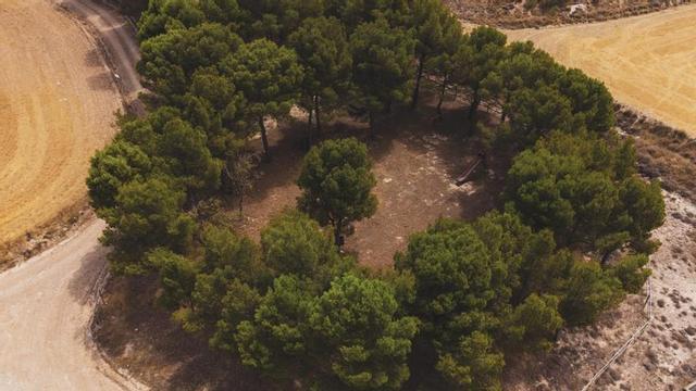Longares impulsa el empleo con un proyecto para mejorar caminos y zonas verdes. | SERVICIO ESPECIAL