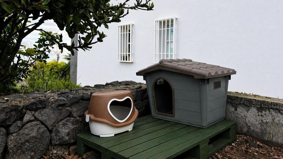 Nuevas casetas para los gatos callejeros.
