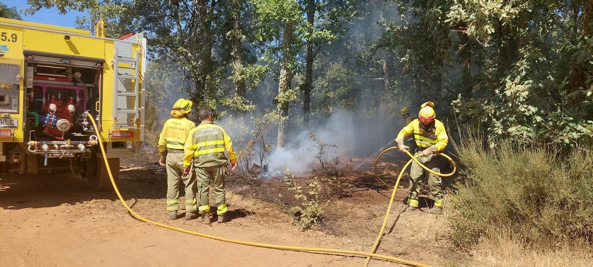 Operativo de la Junta trabajando en la extinción del incendio en Rábano de Aliste