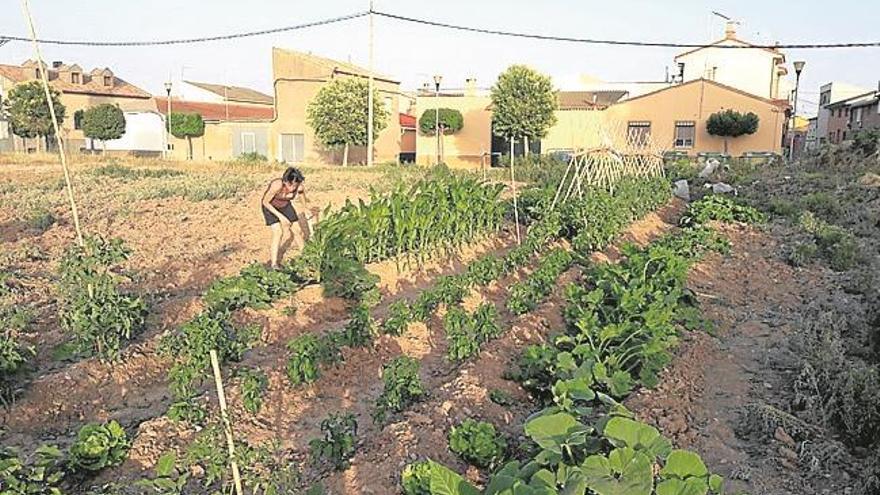 El ‘huerto del cura’ se convierte en una finca cooperativa