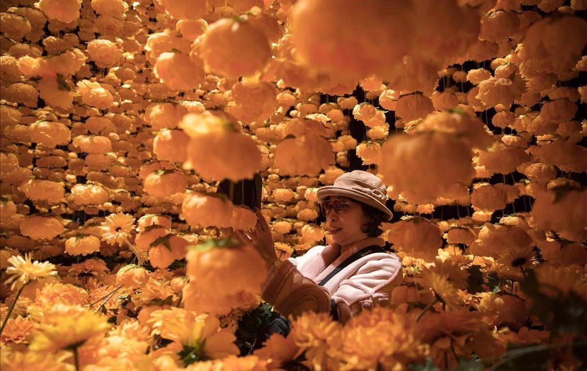 Un mujer hace fotos de la instalación artística ’A Golden Year’ (un año dorado), realizada con 8.000 peonias y crisantemos, en Hong Kong, China. La obra diseñada por el estudio Dog and Pony puede ser visitada en Times Square, en el distrito de Causeway Bay.