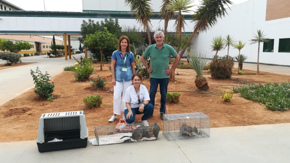 Personal que cuida de la colonia felina en la prisión.