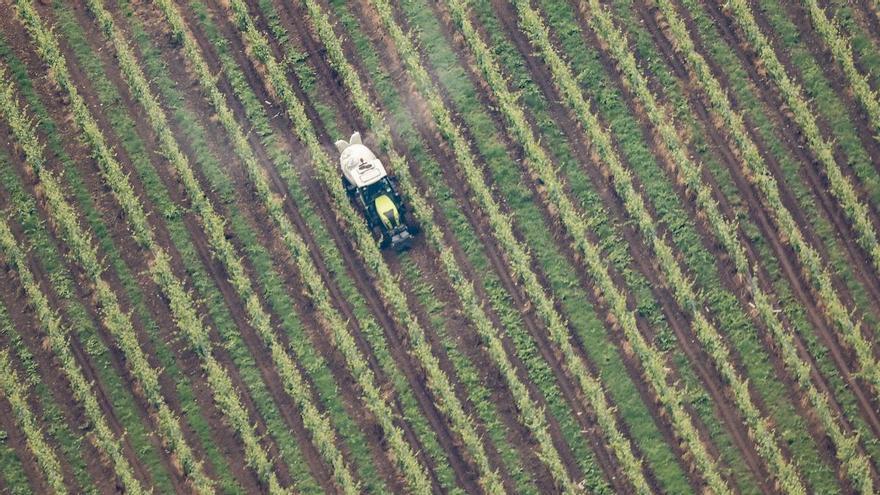 El Ministerio de Agricultura convoca las ayudas del programa