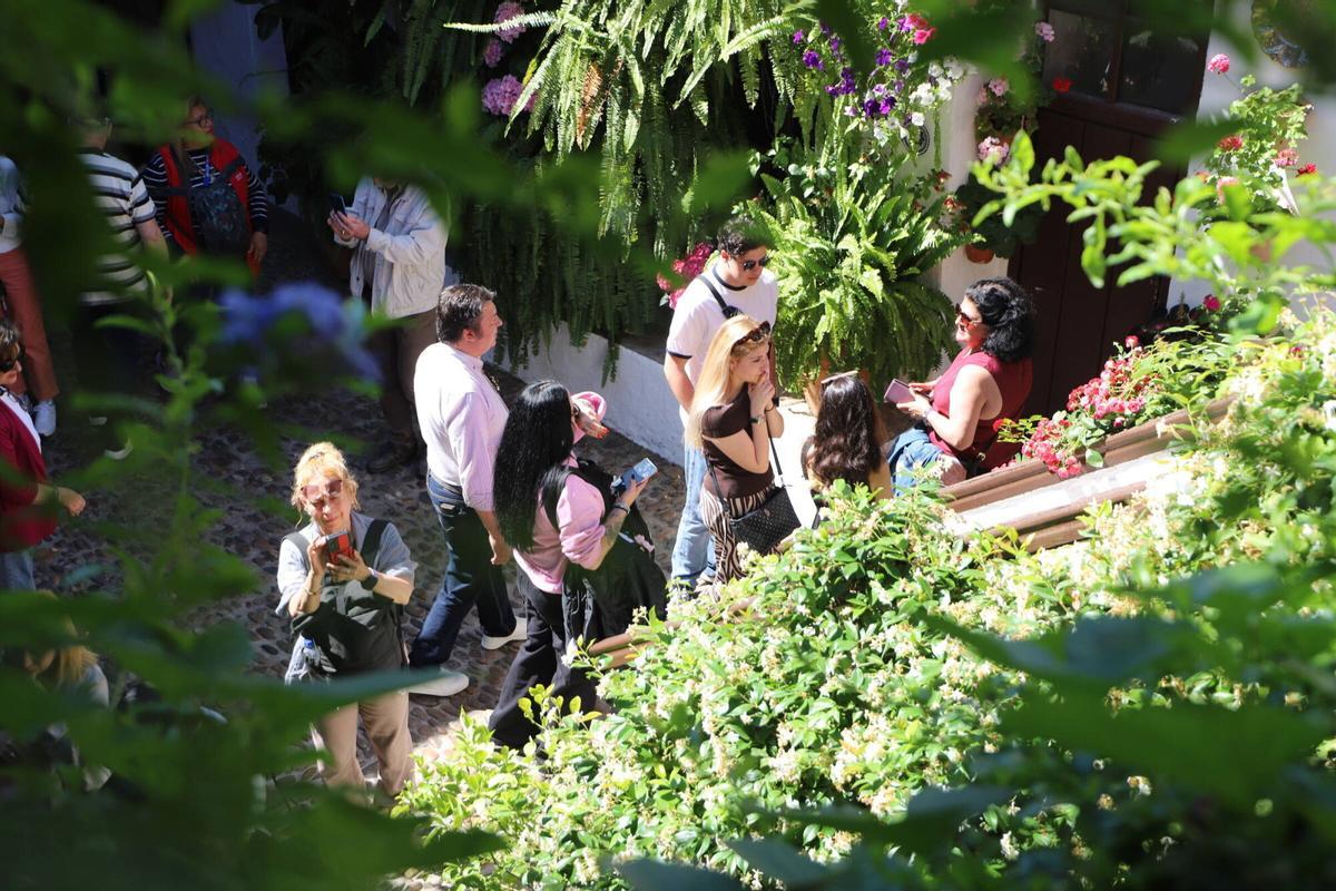 Los Patios premiados se llenan de visitantes