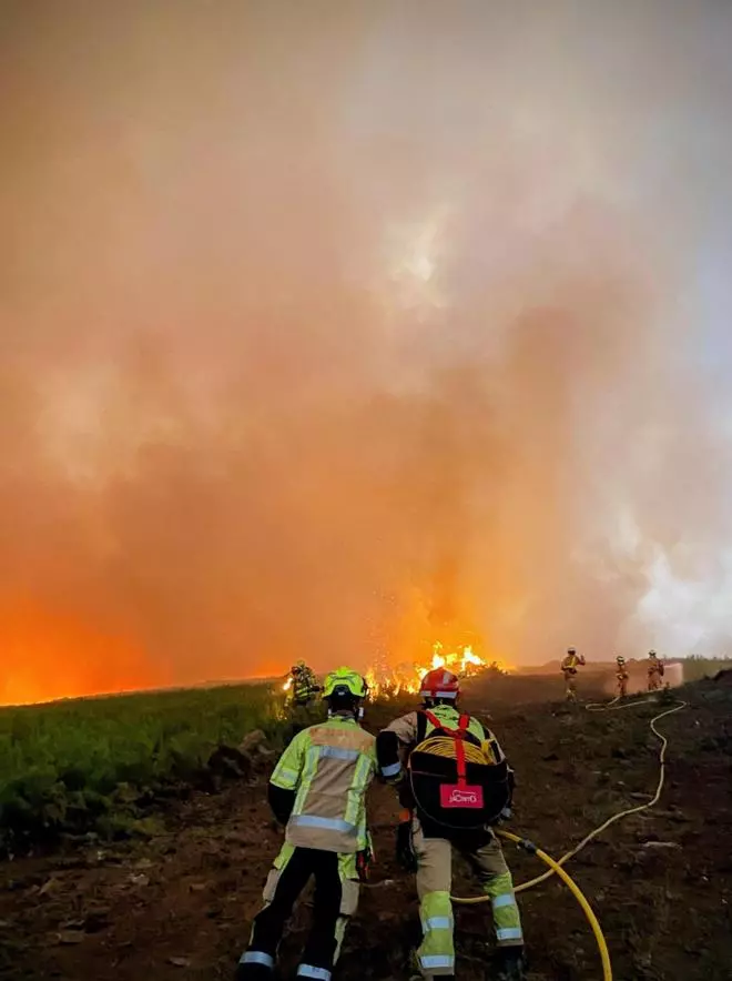 Actuaciones de los Bomberos de Alicante en el incendio de León