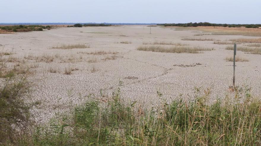 El calor y la falta de lluvias cambia el mapa de los cultivos agrícolas