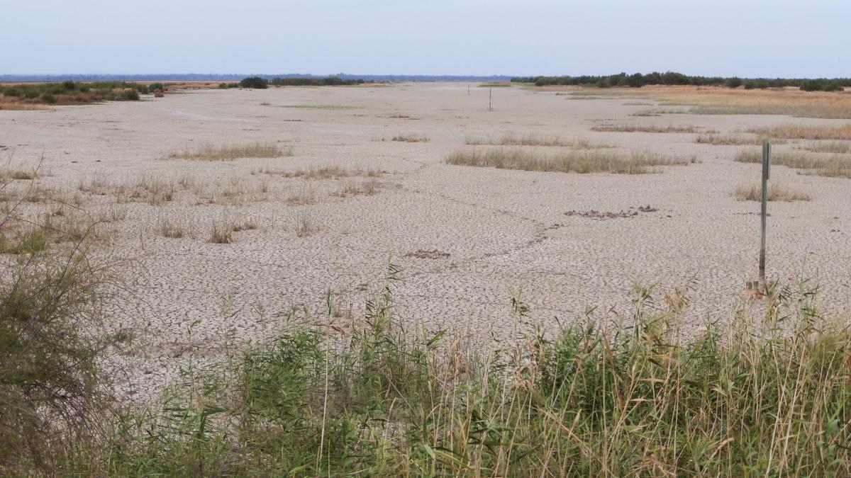 Humedal afectado por la sequía en Doñana.