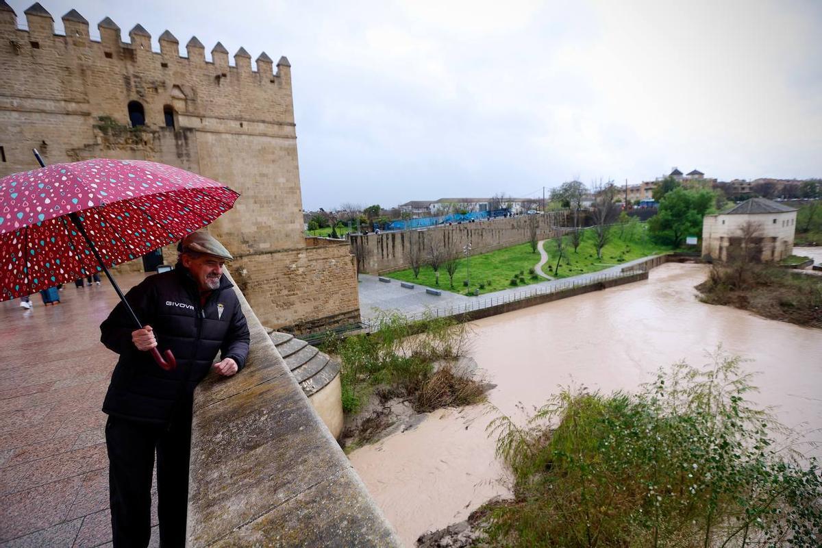 Un ciudadano observa la subida del caudal del río Guadalquivir a su paso por Córdoba la semana pasada.