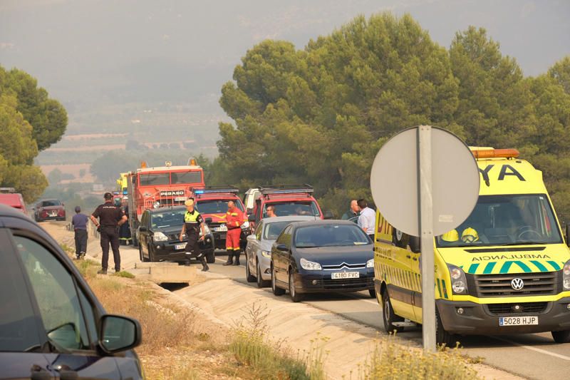 Declarado un incendio en una zona de barranco de Beneixama