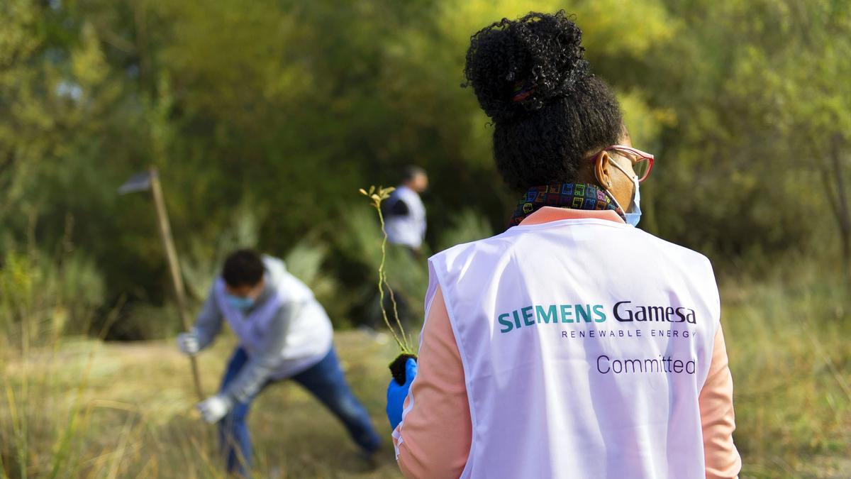 Plantación de un bosque para Siemens