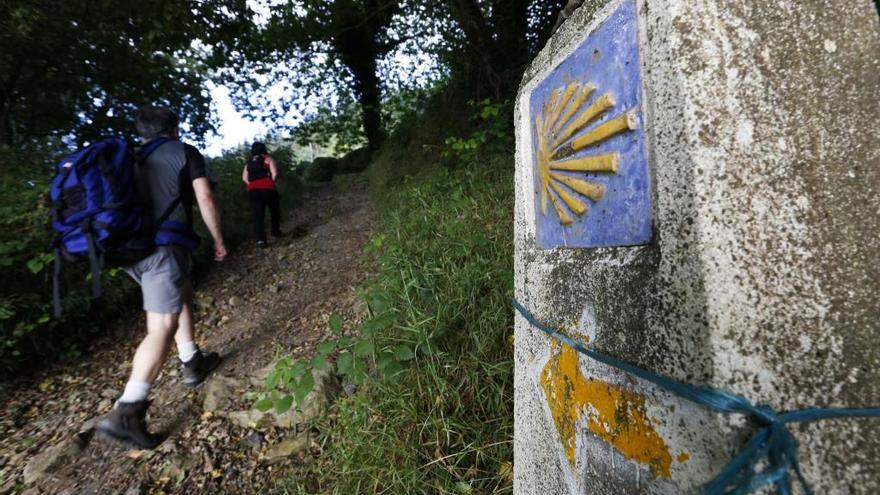 La marcha regional de veteranos recorrerá la sierra de Tineo.