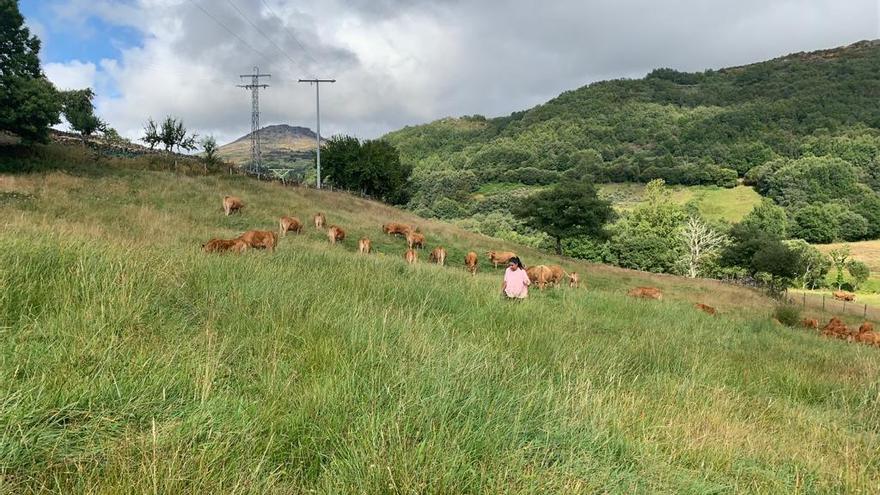 El Campus Rural revitaliza la zona cero de la despoblación