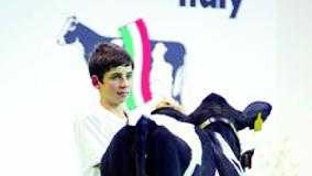 Avelino Souto maneja una vaca durante la competición en Italia.