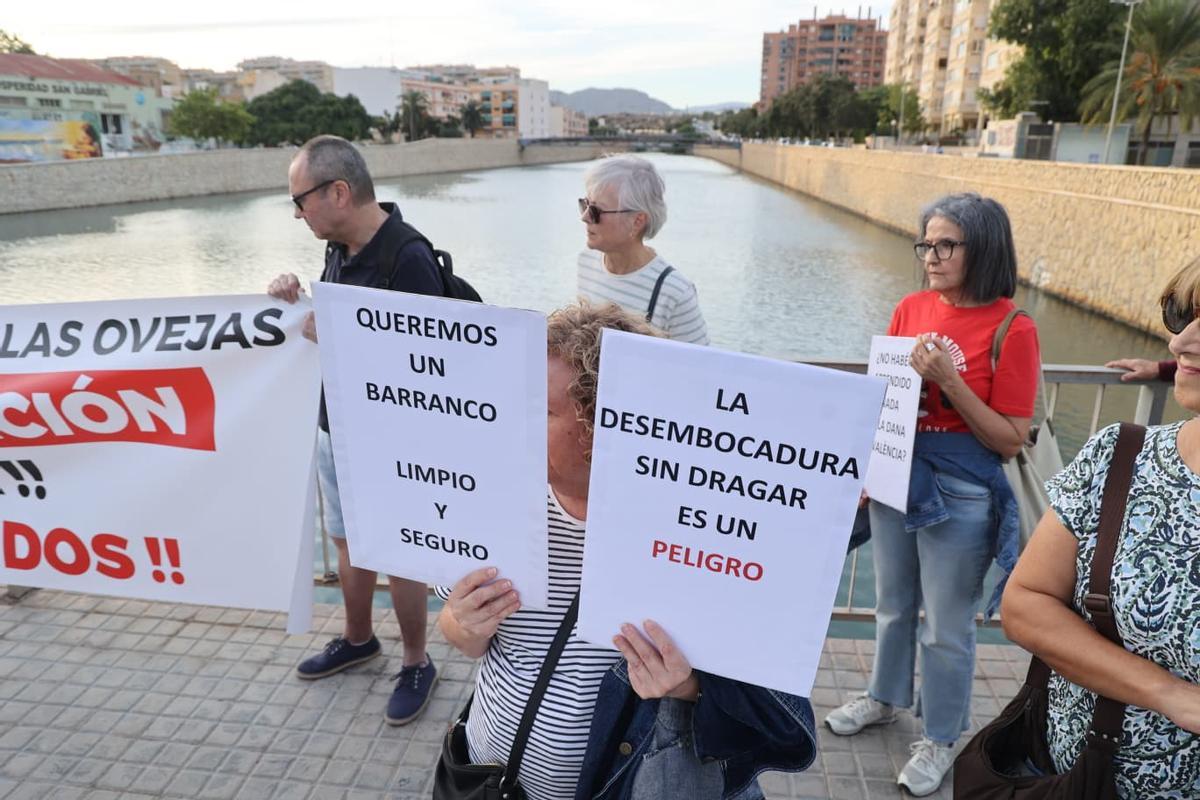 Pre 684 El miedo a otra dana moviliza a los vecinos de Alicante: exigen limpiar ...