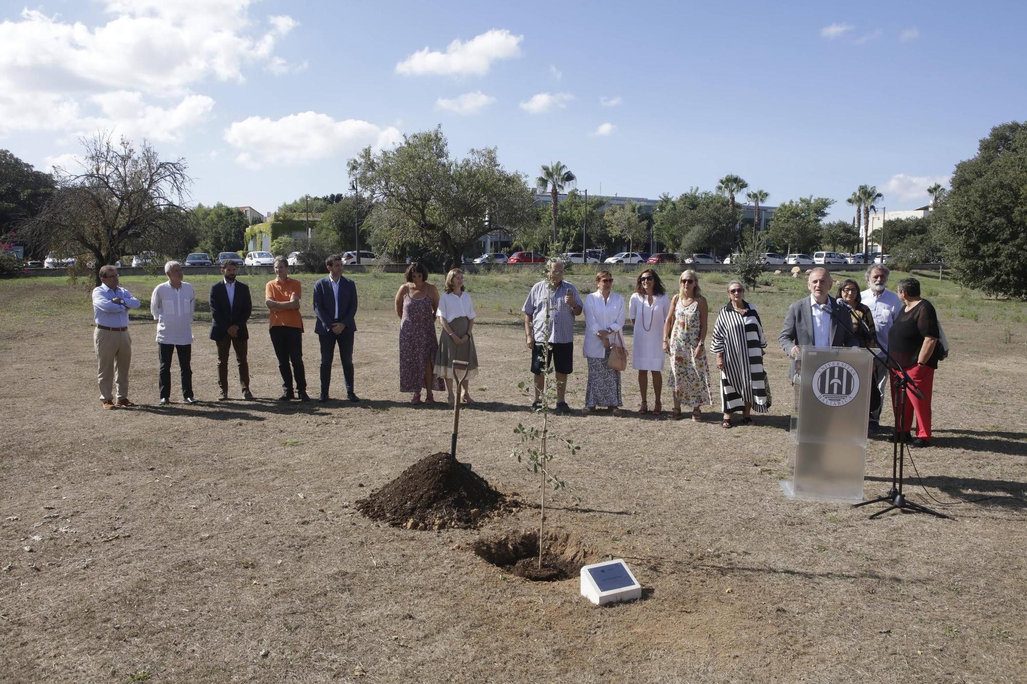 La UIB planta un árbol en memoria de Agustí Villaronga