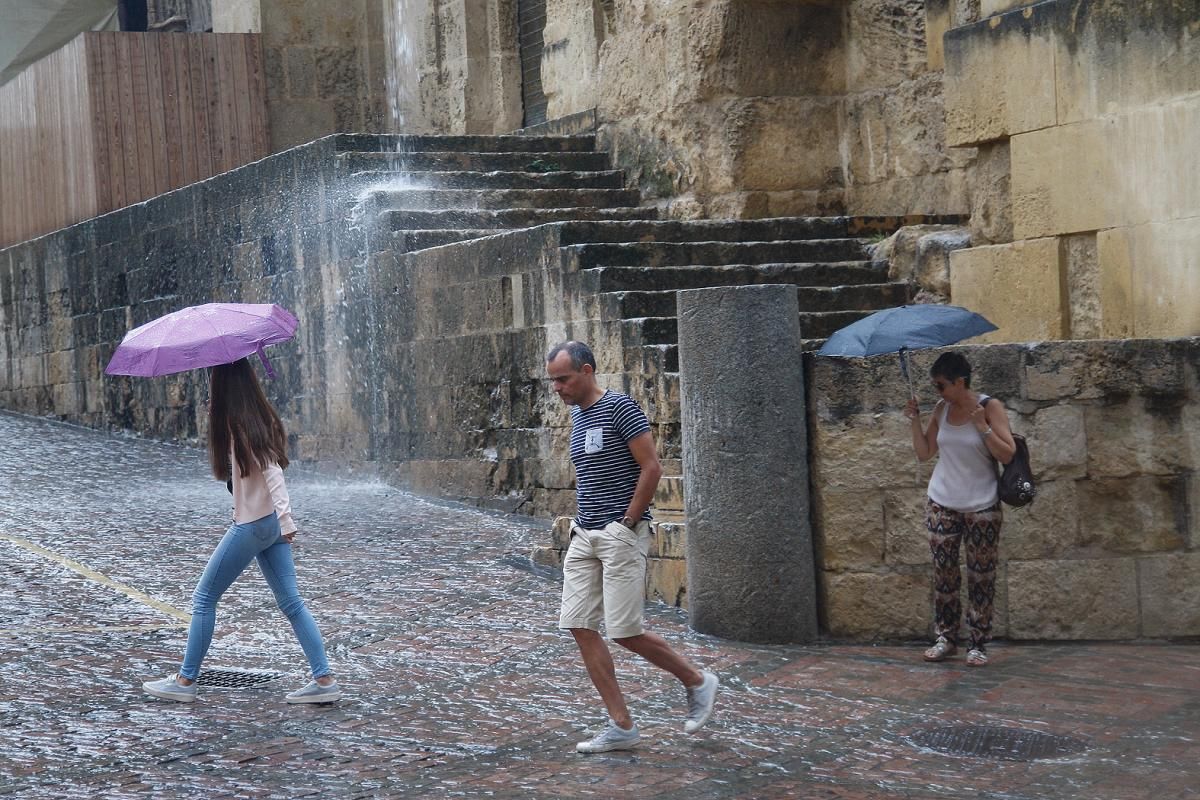 Fotogalería / Escenas de un día de otoño en agosto en Córdoba