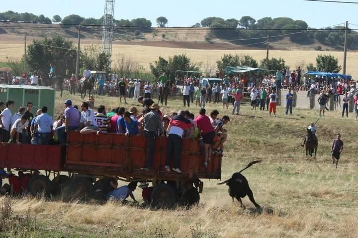 Encierro en Guarrate