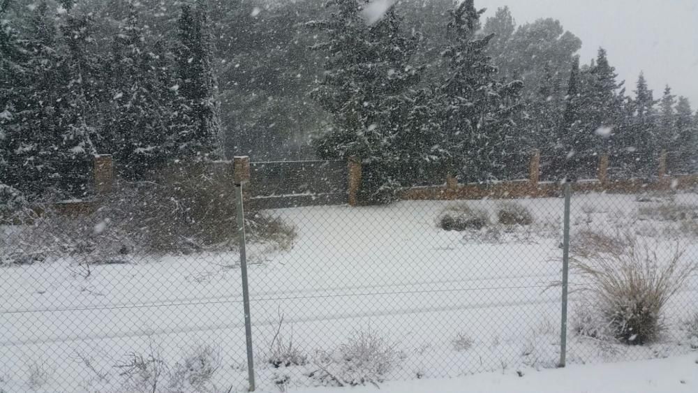 La nieve tiñe de blanco Murcia