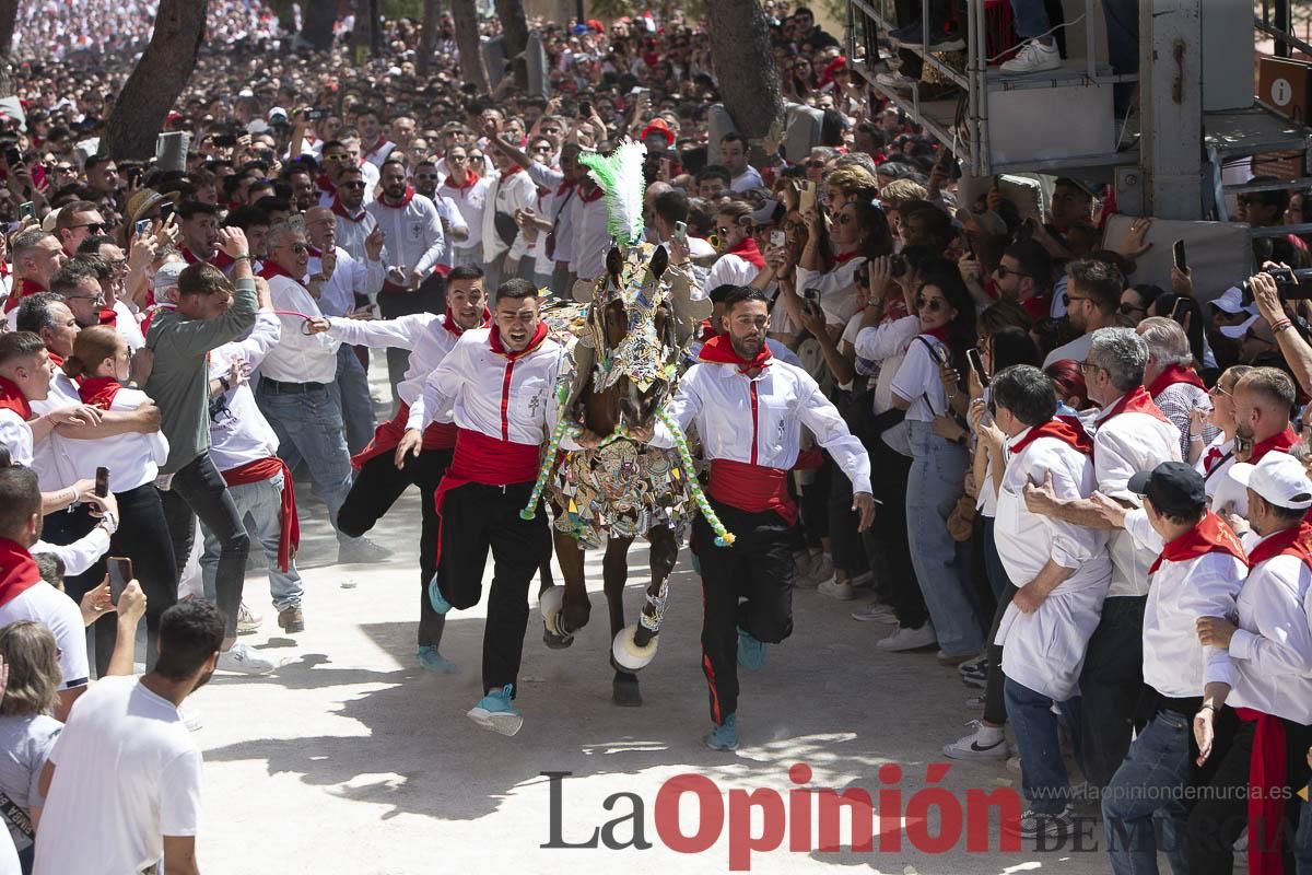 Así se ha vivido la carrera de los Caballos del Vino en Caravaca