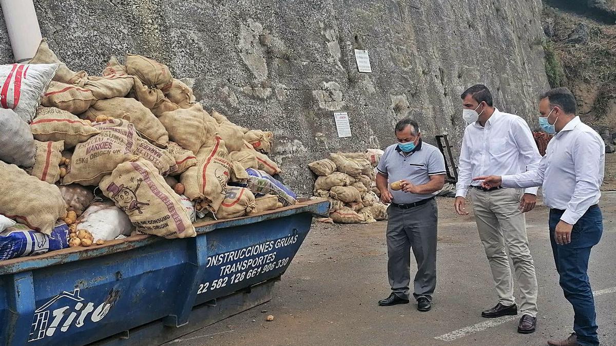 El alcalde, Manuel Domínguez, visita junto a dos ediles una de las zonas de recogida de papas bichadas.