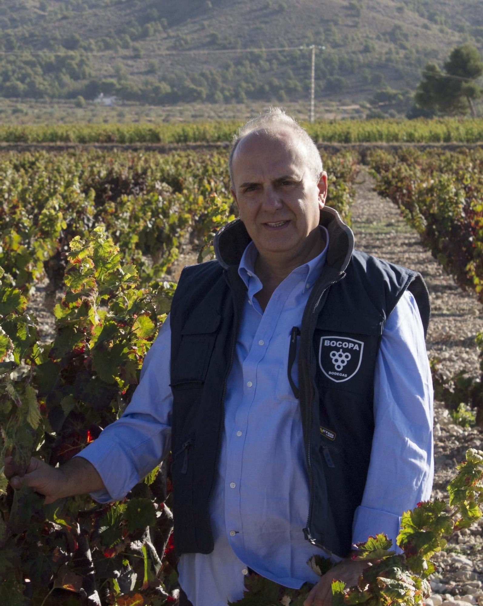 Gaspar Tomás, enólogo y director de Bodegas Bocopa