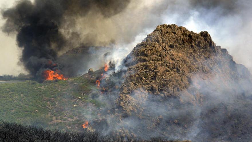 Incendio forestal en el municipio gomero de Alajeró