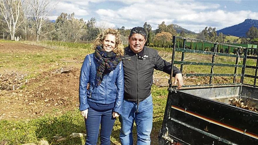 Plantarán árboles en varias zonas públicas