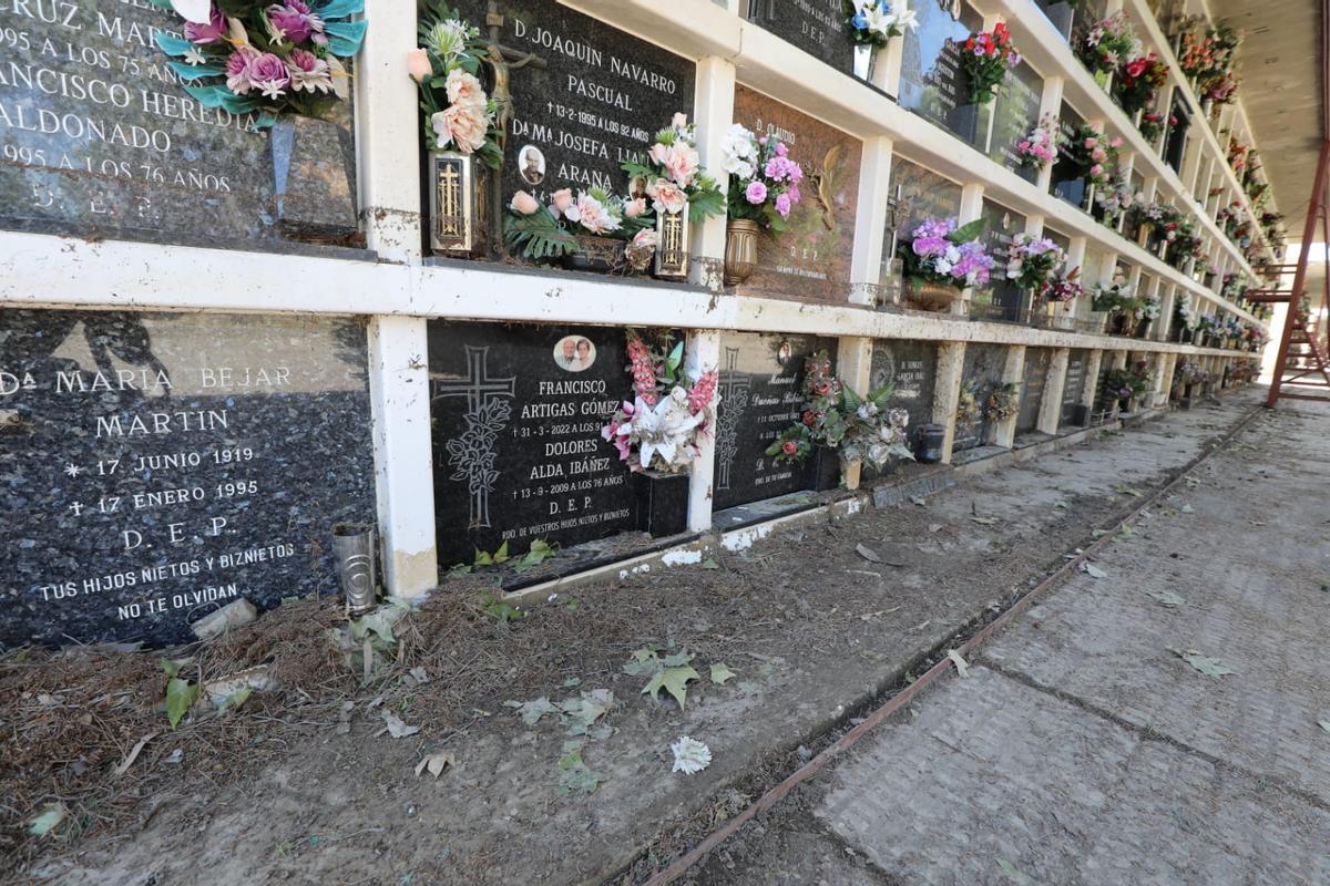 Fotogalería | Grandes daños en el cementerio de Torrero por la tormenta del jueves