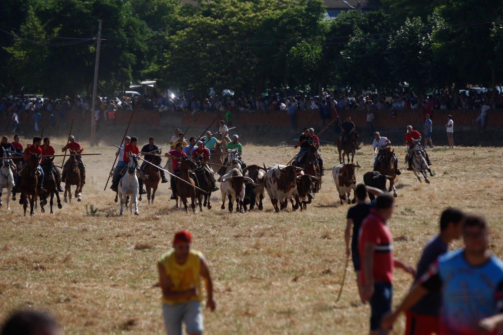 Espantes de Fuentesaúco