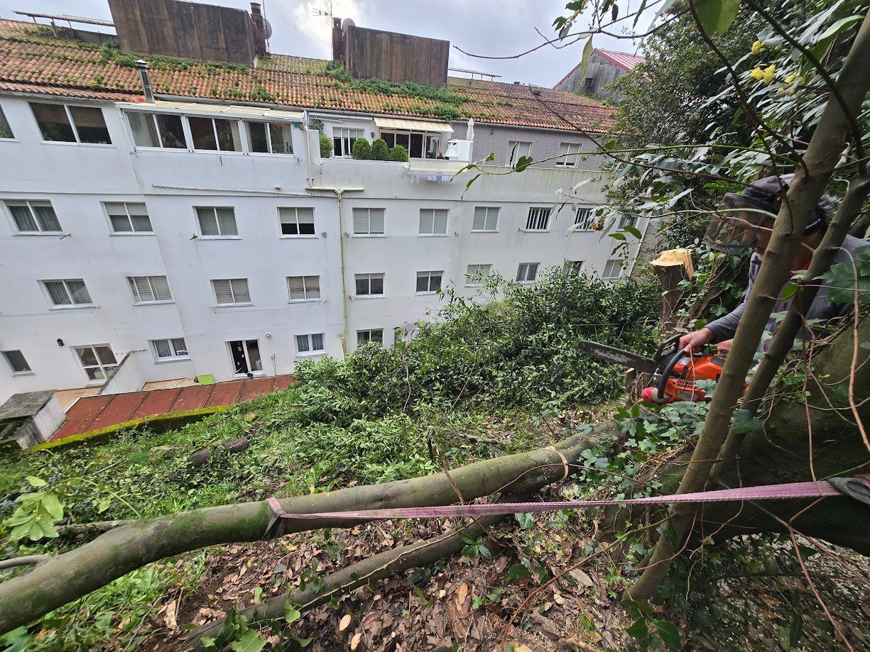 La tala de árboles en el Parque Valdés Bermejo para garantizar la seguridad ciudadana.