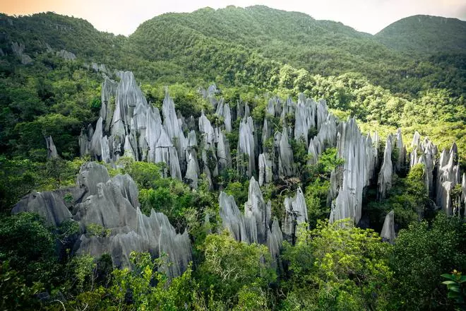 El Parque Nacional más increíble de Malasia: las cuevas de Mulu