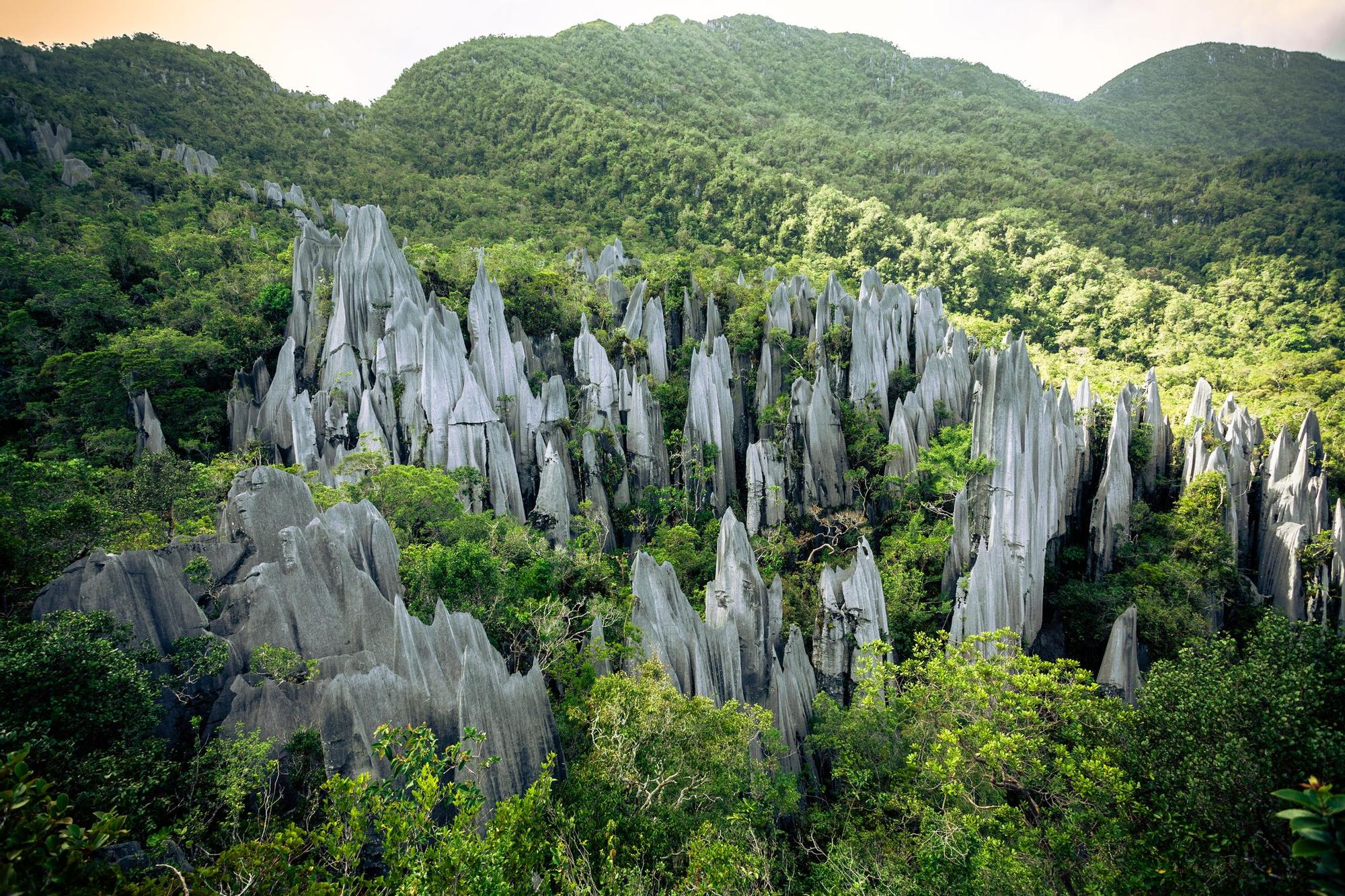 Un lugar de Malasia que debes conocer: las cuevas de Mulu.