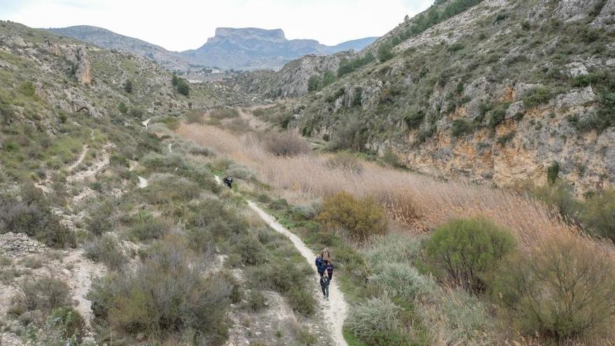 El Pantano de Elda es un reducto para la fauna silvestre