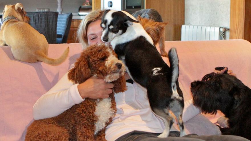 Tierpensionen mit Käfigen sollten der letzte Ausweg sein. Besser ist es, die Hunde bei einer Pflegerin abzugeben, die sich persönlich um die Vierbeiner kümmert. | FOTO: NELE BENDGENS