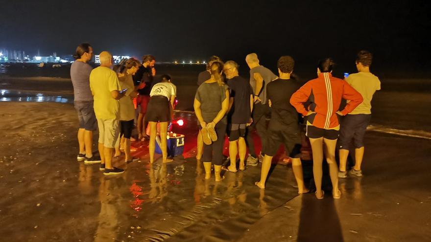 Ecologistas logran liberar en el mar 57 tortugas bobas nacidas en plena DANA en una playa de Elche