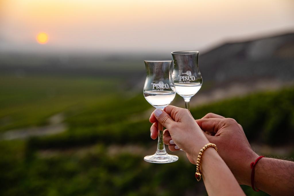Brindando con pisco