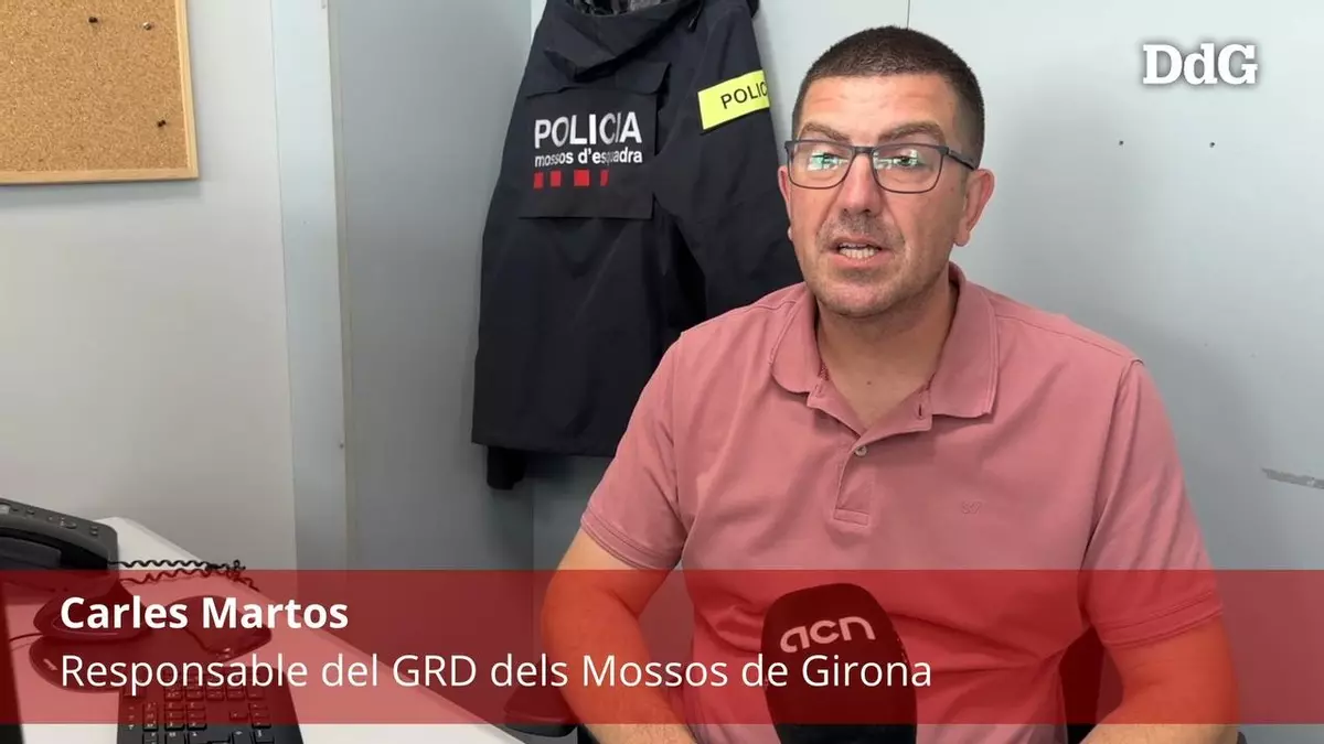 La picaresca dels delinqüents fronterers: posar plaques provisionals franceses per ocultar cotxes que busca la policia