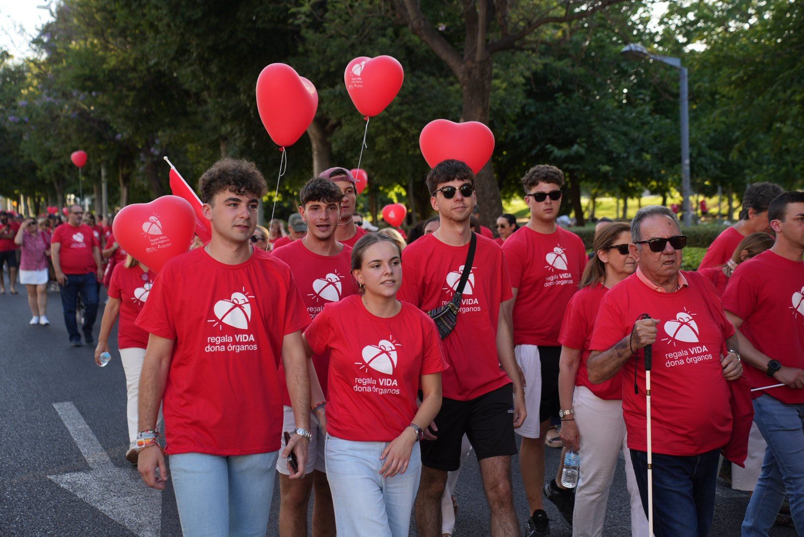 La marcha por la donación de órganos, en imágenes