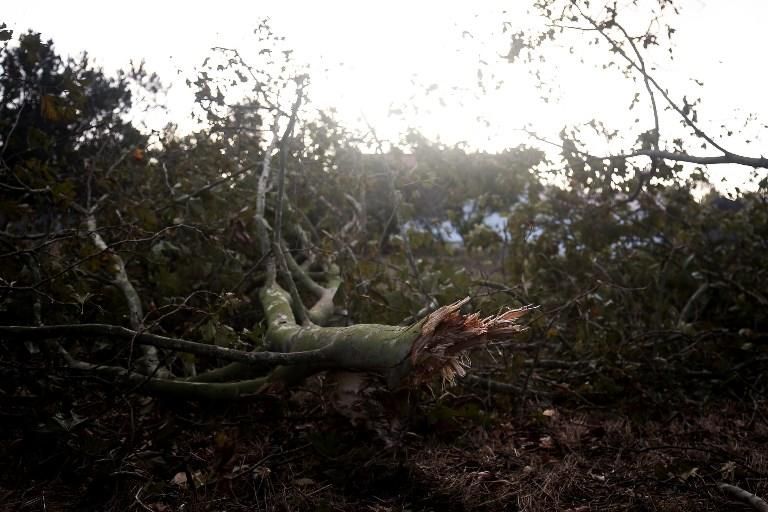 Paso del ciclón Leslie por Portugal