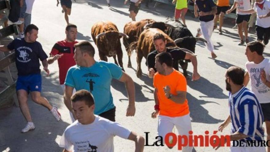 Segundo encierro de Calasparra 2014