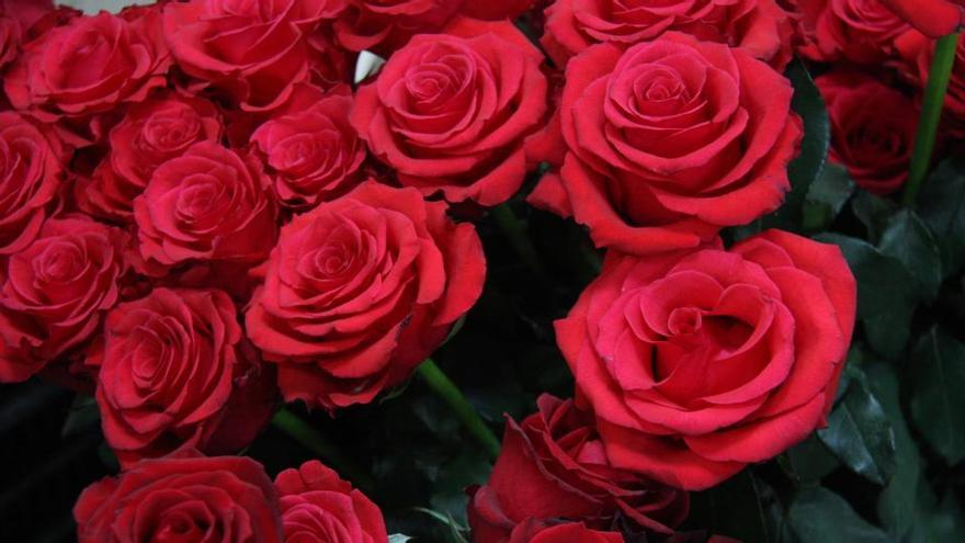 La rosa vermella serà la reina al costat de flors «vintage»